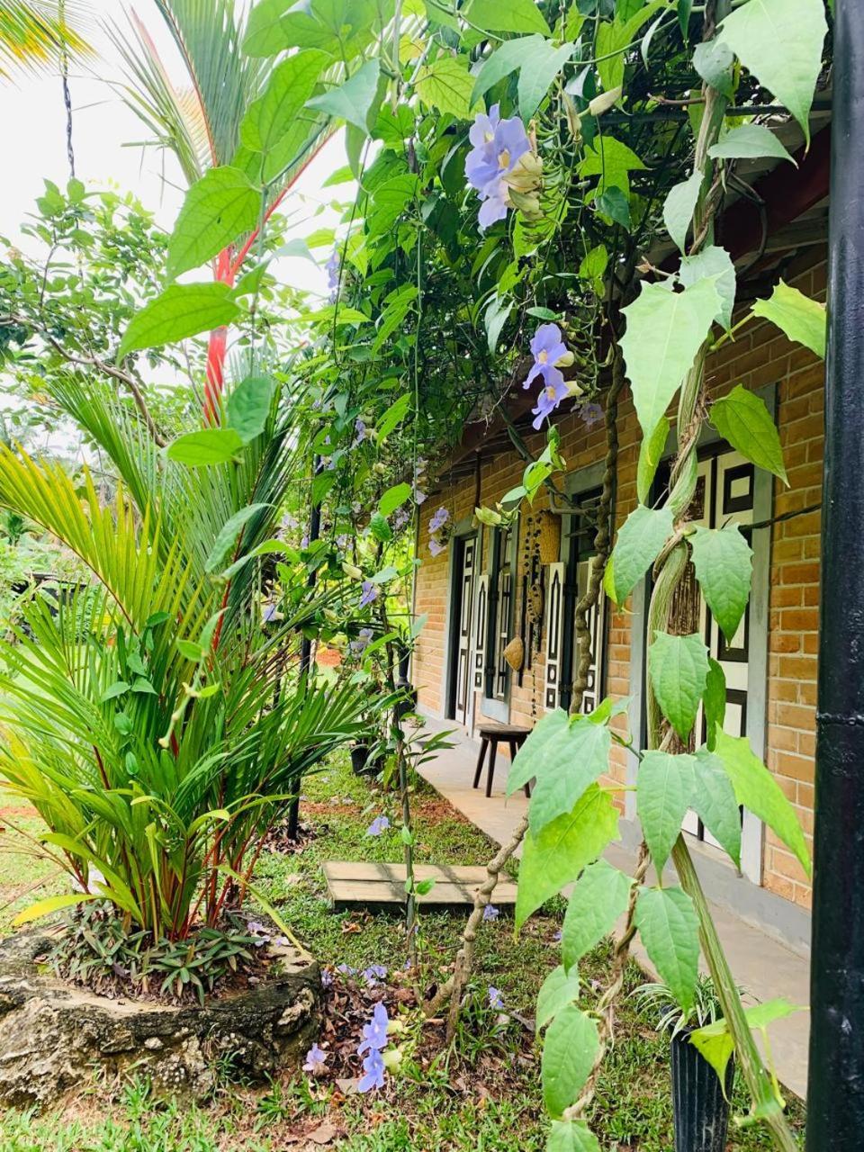 Ashok Villa 韦利格默 外观 照片